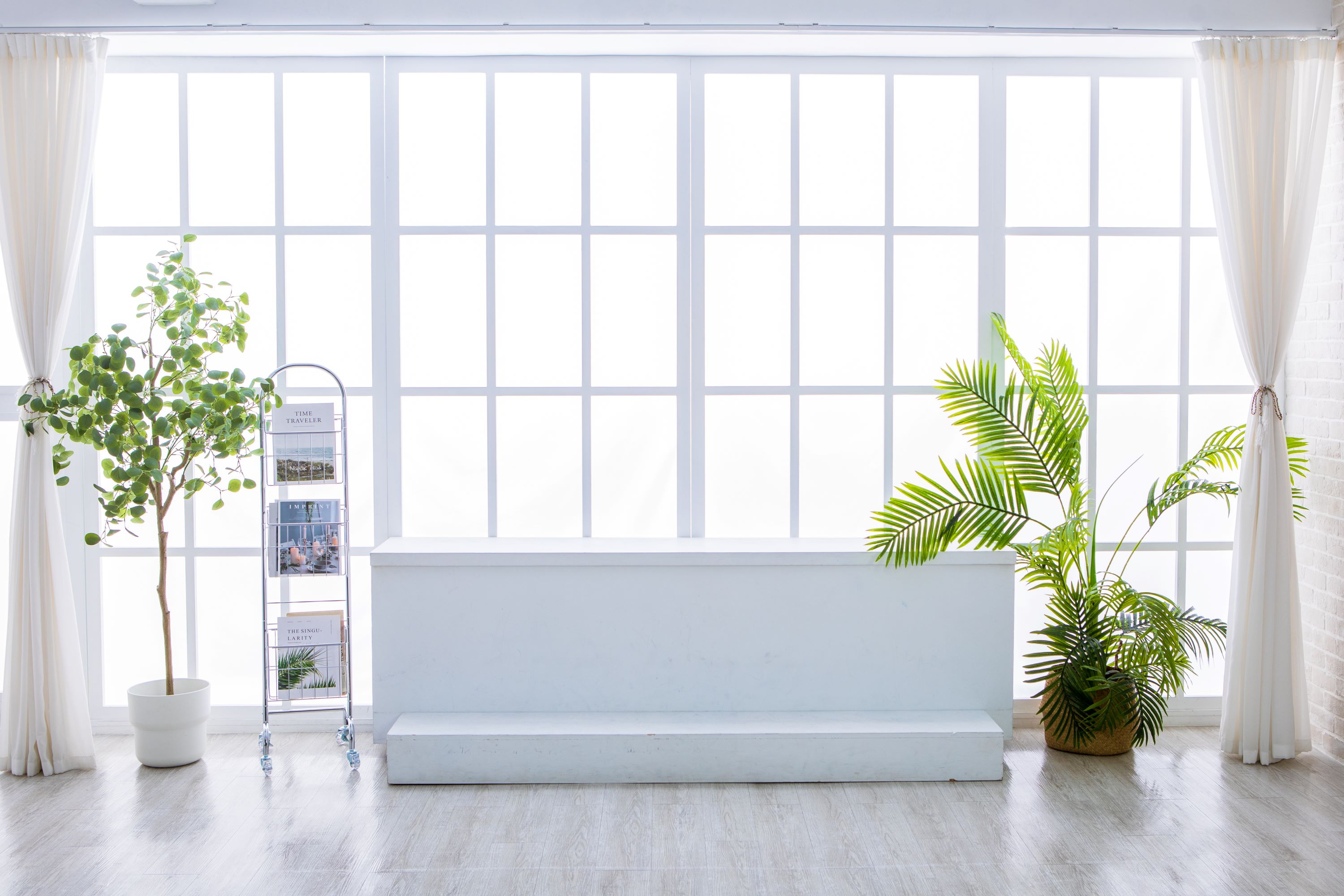 金采攝影棚_單層實景透光窗客廳/白棚/黑棚/綠棚